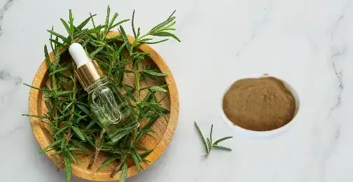 Rosmarinic Acid Powder in Holistic Wellness